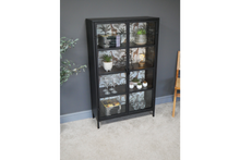 Modern Industrial style Display Cabinet